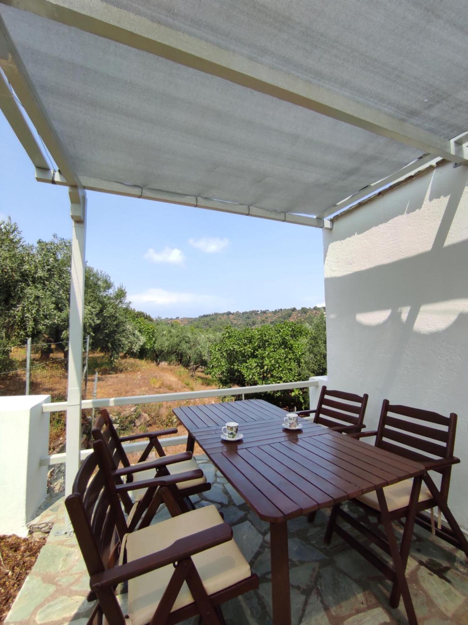 فيلا Lionaki House سكوبيلوس تاون المظهر الخارجي الصورة