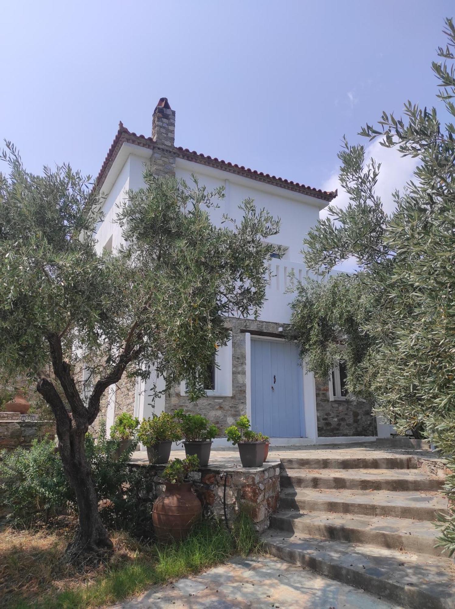 فيلا Lionaki House سكوبيلوس تاون المظهر الخارجي الصورة